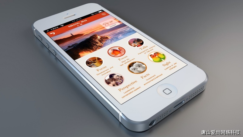 新手入门:从零理解app开发制作的基础与实践(图3) app开发制作